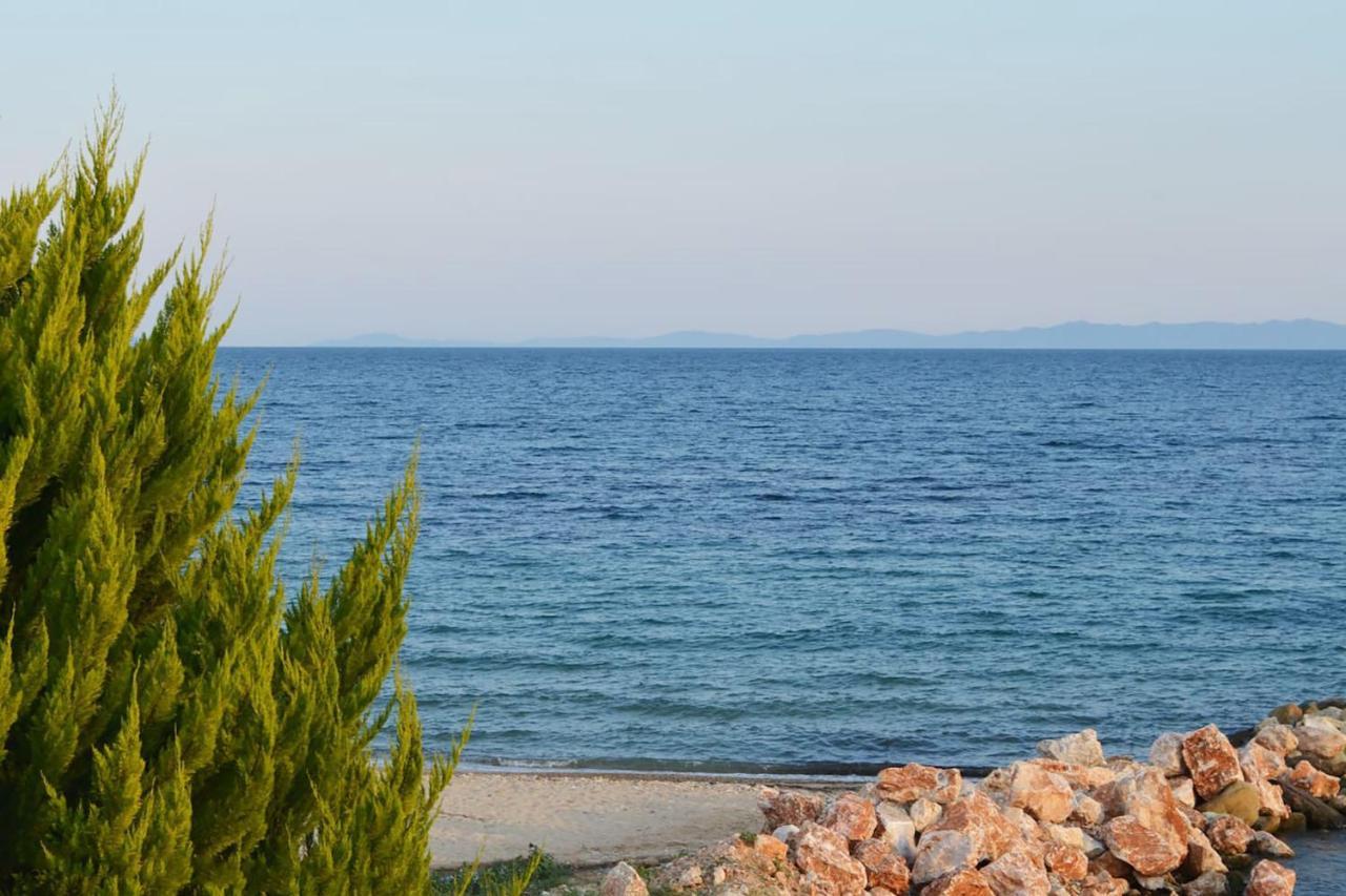Lemon Beach Front Apartment, Nikiti Экстерьер фото